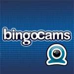 New Virtue Fusion Bingo Sites New Virtue Fusion Bingo Sites